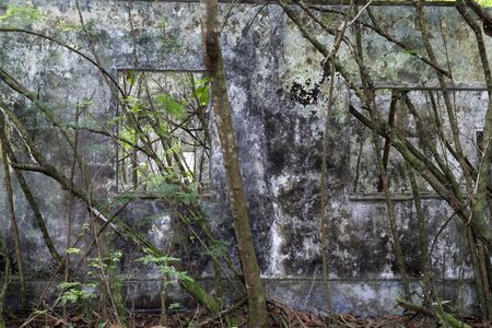 abandoned resort hotel in the tropical jungleの写真素材