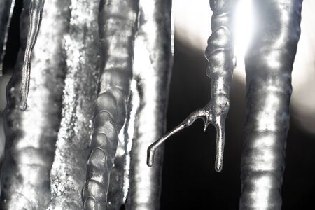 icicles frozen ice on tree branches in Winter season