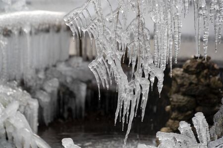 icicles frozen ice on tree branches in Winter seasonの写真素材