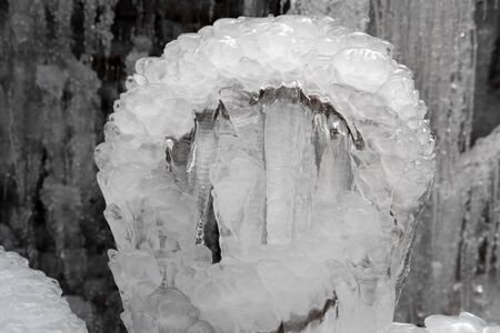 icicles frozen ice on tree branches in Winter season