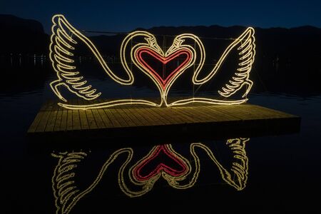 Bled lake love swan reflection at nightの写真素材