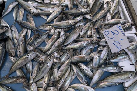 naples street fish market in spanish district detailの写真素材