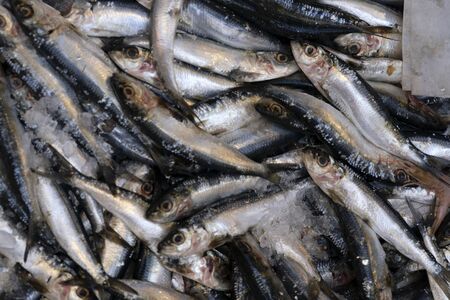naples street fish market in spanish district detailの写真素材
