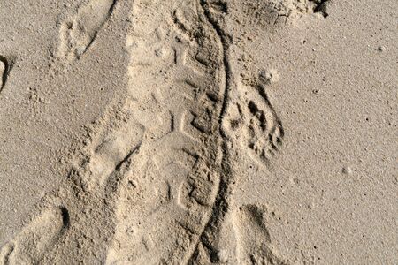 offroad tire track on sandy beach detailの写真素材