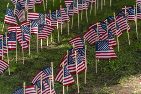 Many usa flags on green grass field