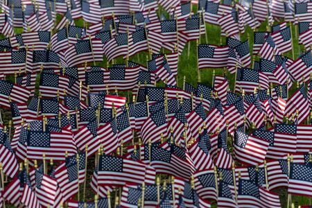 Many usa flags on green grass fieldの写真素材