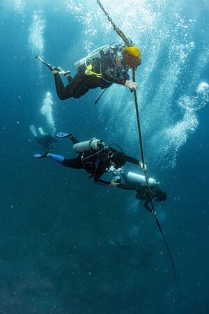 scuba divers on tropical turquoise waters background holding a rope