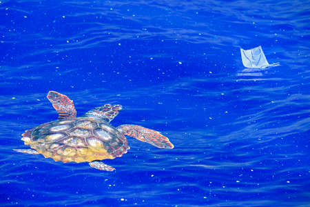 sea turtle approaching covid mask abandoned on blue sea water