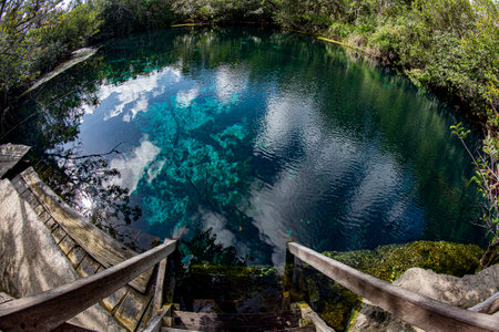 Cave scuba diving in mexican cenotesの写真素材