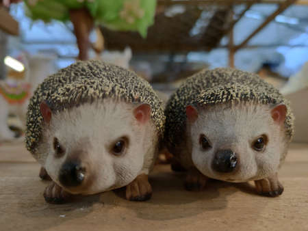 Easter hedgehog and decorations detailの写真素材