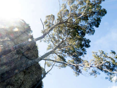 maritime pine portofino move effect twist cameraの写真素材