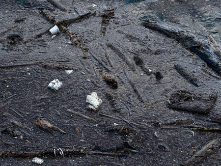 trash plastic rubbish garbage polluted sea