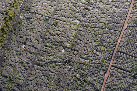 Pico Island Azores vineyard wine grapes protected by lava stone aerial view panoramaの写真素材