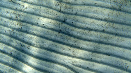 sand bottom underwater while snorkeling in turquoise lagoon
