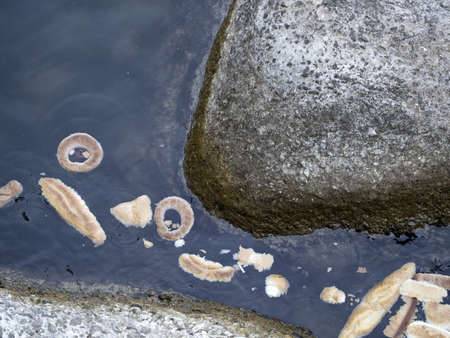 bread thrown in the sea detail