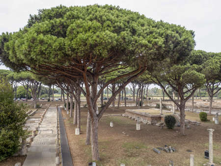 old ancient ostia archeological site ruinsの写真素材