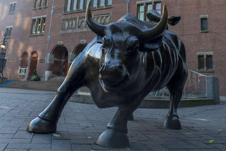 The bull Amsterdam city center building detail cityscape