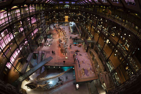 PARIS, FRANCE - NOVEMBER 18 2021 - Evolution Gallery Museum 7,000 specimens in the Grande Galerie de l 'のeditorial素材