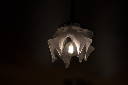 Liberty style luxury chandelier lamp light detailの写真素材