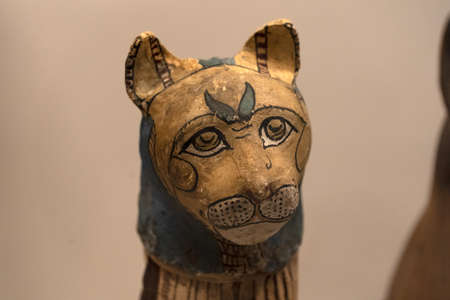 Egypt cat Mummified mummy egyptian in a tomb pyramid