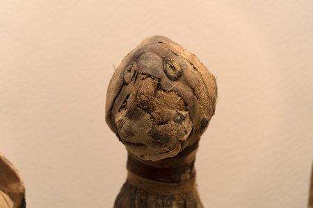 Egypt cat Mummified mummy egyptian in a tomb pyramid