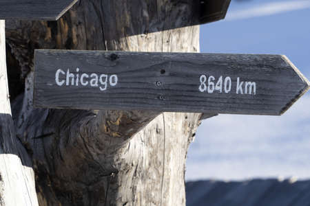 Chicago distance wood sign on dead tree detail