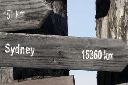 Sidney distance wood sign on dead tree detailの写真素材