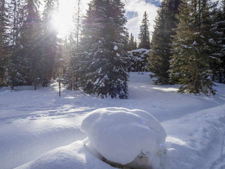 forest dolomites snow panorama wooden hut val badia armentarola hill