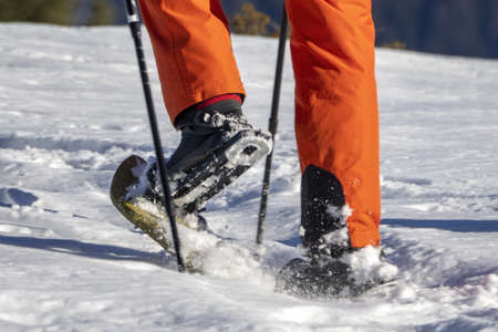 isolated snow shoe trekker walking on the snowの写真素材