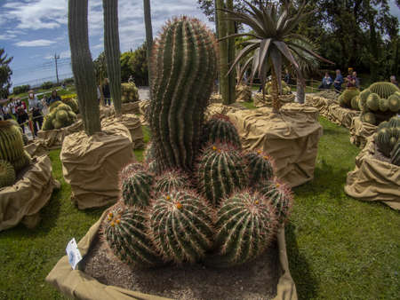 GENOA, ITALY - MAY 7 2022 - Euroflora international floreal exposition in event outdoor in Nervi Parkのeditorial素材