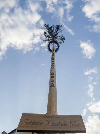 2022 wooden maypole greasy tree pole in Graz Austria detail