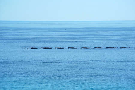 fish factory in the Mediterranean ligurian sea