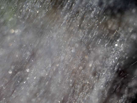 rain drops while falling detail macro