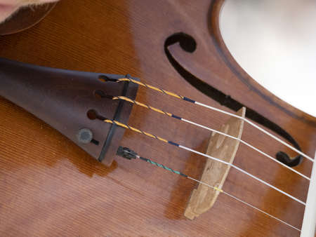 playing violin string bow close up detail