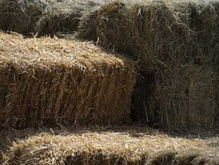hay ball detail close up in summer