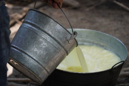 Hand made fresh cheese in mexicoの写真素材