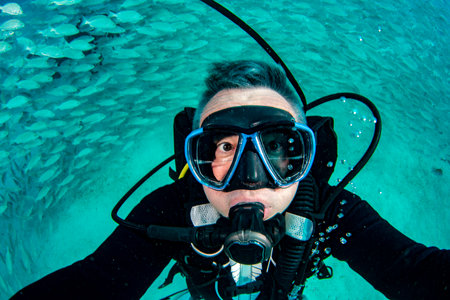 Inside sardines bait ball fish in cortez sea diving cabo pulmo