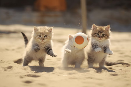 cats are playing volleyball at the beach sport illustration generative aiの素材