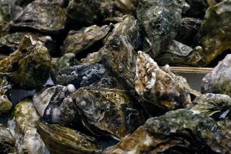 oyster boqueria the barcelona fruit seafood meat ham food marketの写真素材