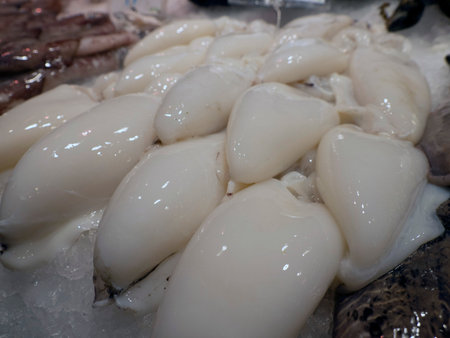 squids boqueria the barcelona fruit seafood meat ham food market
