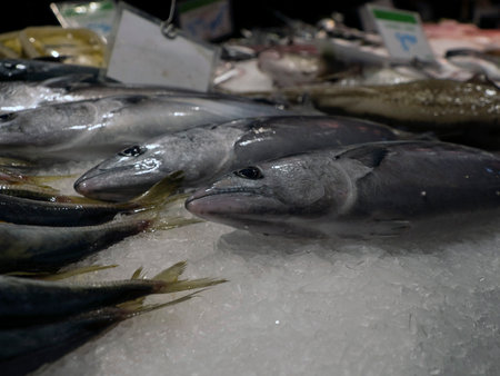 fresh fishboqueria the barcelona fruit seafood meat ham food market