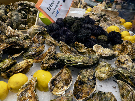 sea urchins boqueria the barcelona fruit seafood meat ham food marketの写真素材