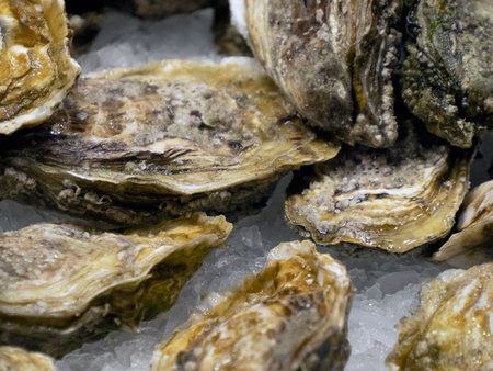 oyster boqueria the barcelona fruit seafood meat ham food marketの写真素材