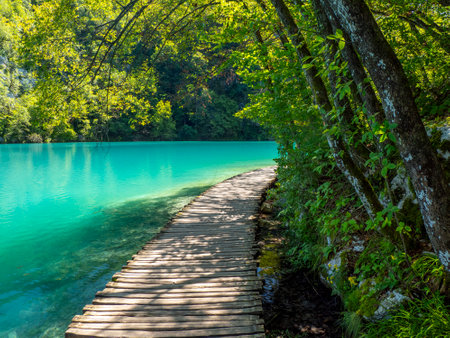A Summer view of water lakes and beautiful waterfalls in Plitvice Lakes National Park, Croatiaの写真素材