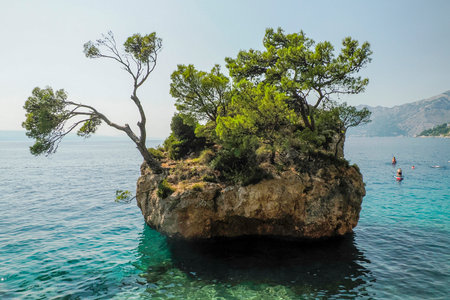 Famous rock on crystal clear water of Adriatic sea in Brela on Makarska Riviera, Dalmatia Croatiaの写真素材
