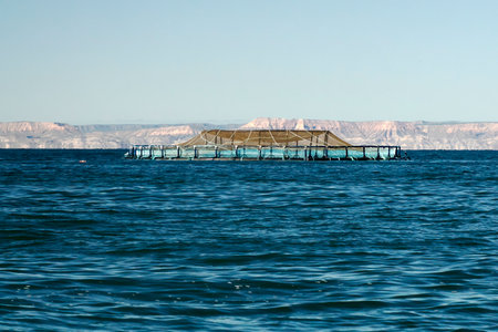 A fish farm cortez sea baja california sur landscape panorama from boatの写真素材