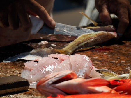 A detail of fresh caught fish cutting and cleaning in fisherman beach Punta Lobos near todos santos,...