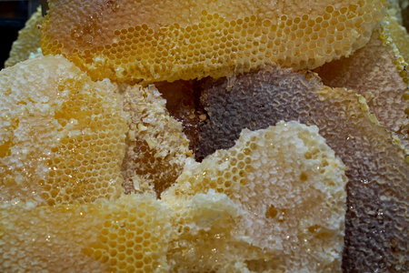 Natural comb honey, Turkish Karakovan Honey. Honey Concept detail