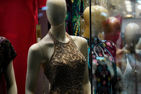 Detail of Woman luxury Dress at istanbul bazar showcasing the rich and colorful tapestry of Turkish culture and clothingの写真素材