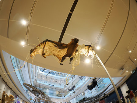 TRENTO, ITALY - FEBRUARY 11 2024 MUSE - Science Museum of Trento in Italy translation science museum by Renzo Piano architectのeditorial素材